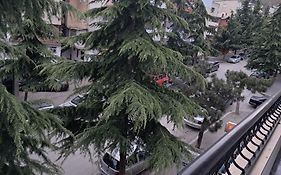 New Apartament