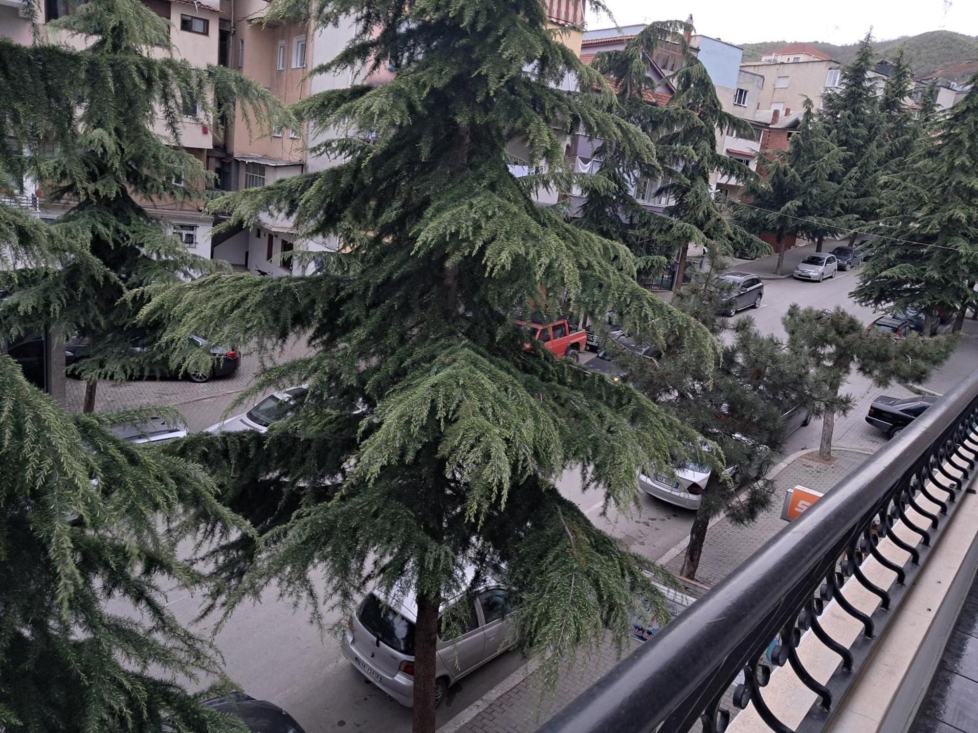New Apartament Pogradec Esterno foto